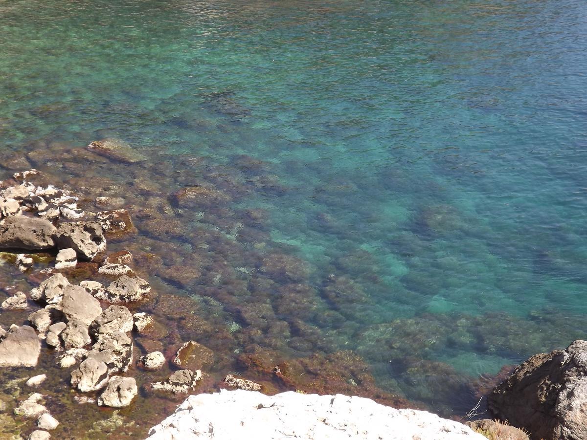 Apartament Le Cytharis La Ciotat Zewnętrze zdjęcie