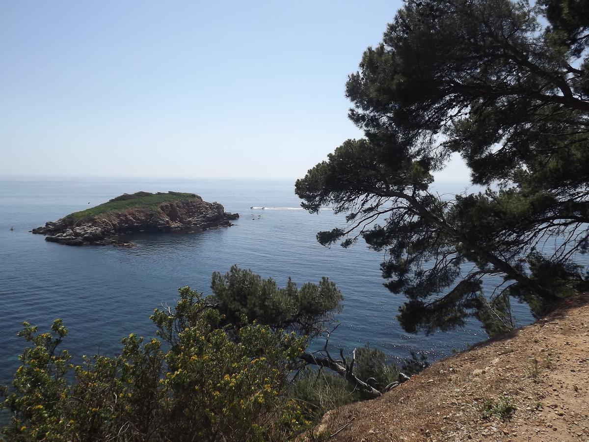 Apartament Le Cytharis La Ciotat Zewnętrze zdjęcie